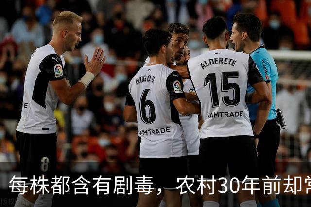 每株都含有剧毒，农村30年前却常用来做腌菜，为何现在消失不见？